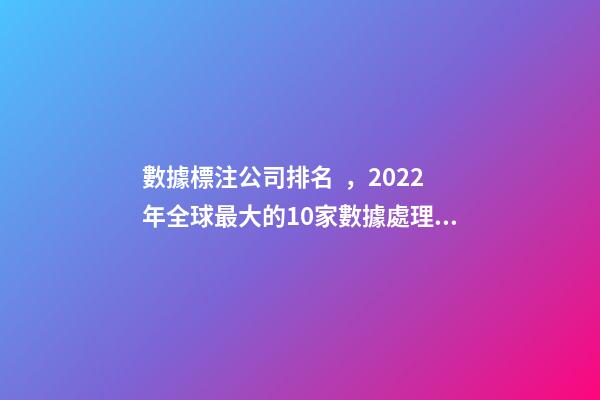 數據標注公司排名，2022年全球最大的10家數據處理相關的創業公司